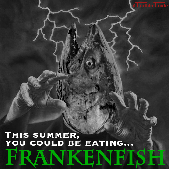 Day 7 GMO Franken Fish