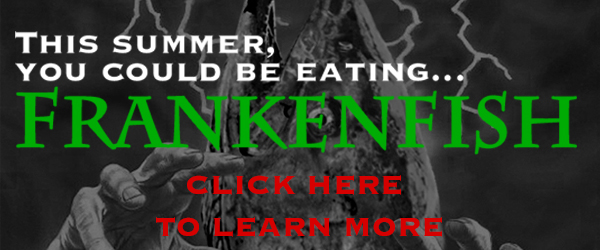 Day 8  Frankenfish Banner 