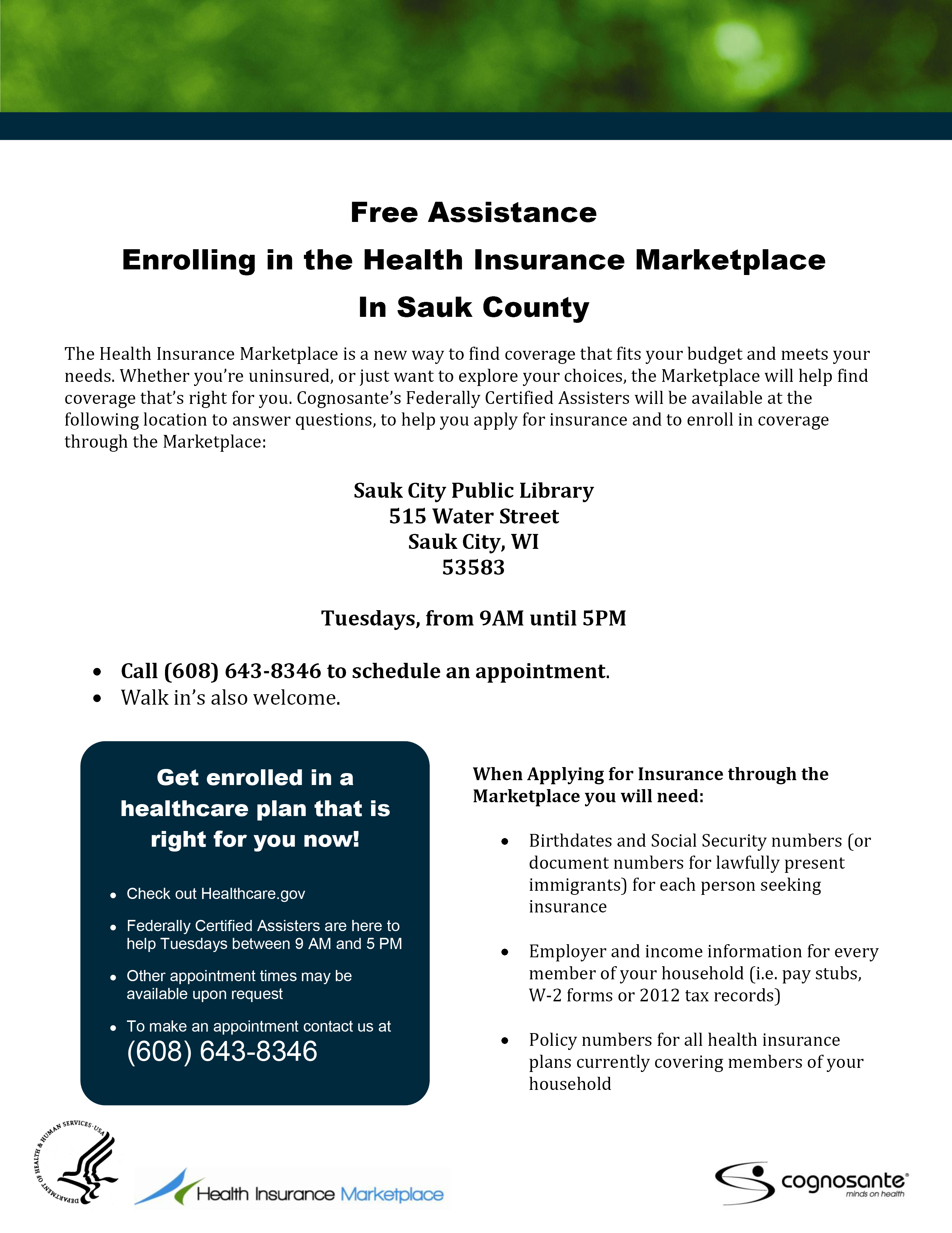 Sauk Co  Library Flyer 